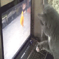 搞笑GIF趣图：长胖了，出不来了。